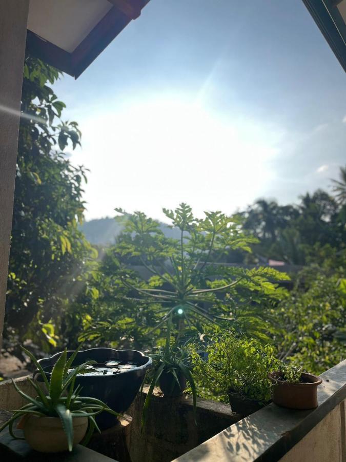Rustic Mahaweli Apartment Kandy Ngoại thất bức ảnh
